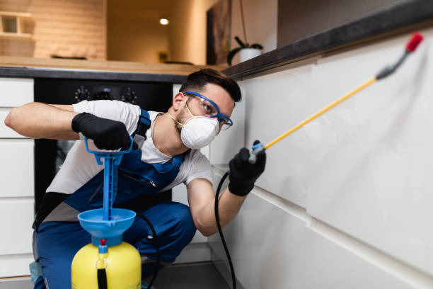 Best Affordable Pest Control Services  in Sparks, NV