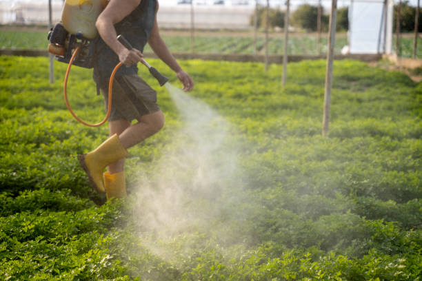 Best Mosquito Control Services  in Sparks, NV