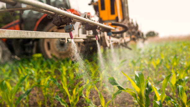 Best Commercial Pest Control Services  in Sparks, NV